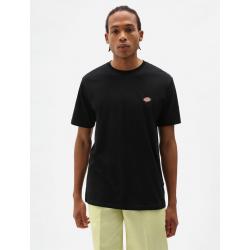 DICKIES - Tee-shirt Icon Washed