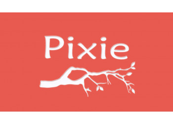 Pixie Cuir